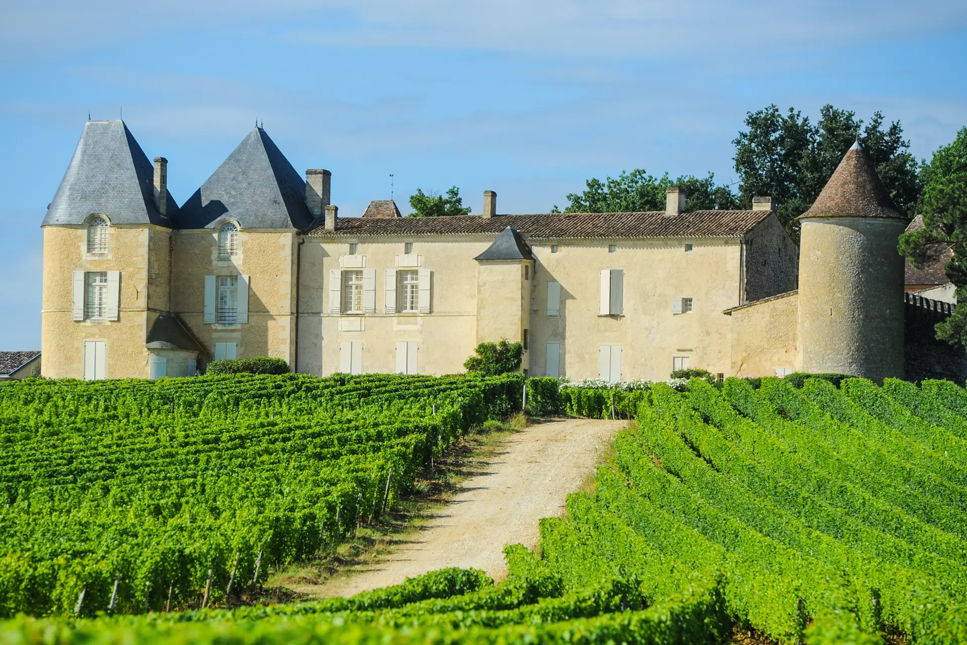 Château d'Yquem - Weingut 1