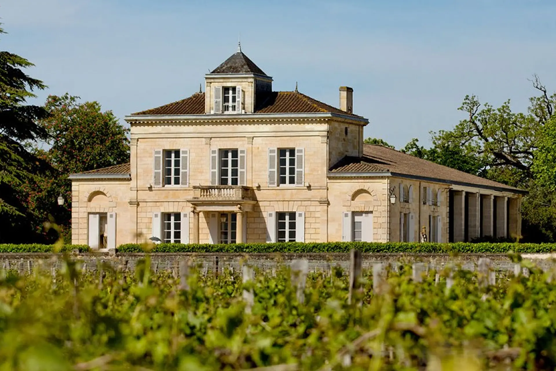 Château Montrose - Weingut 1