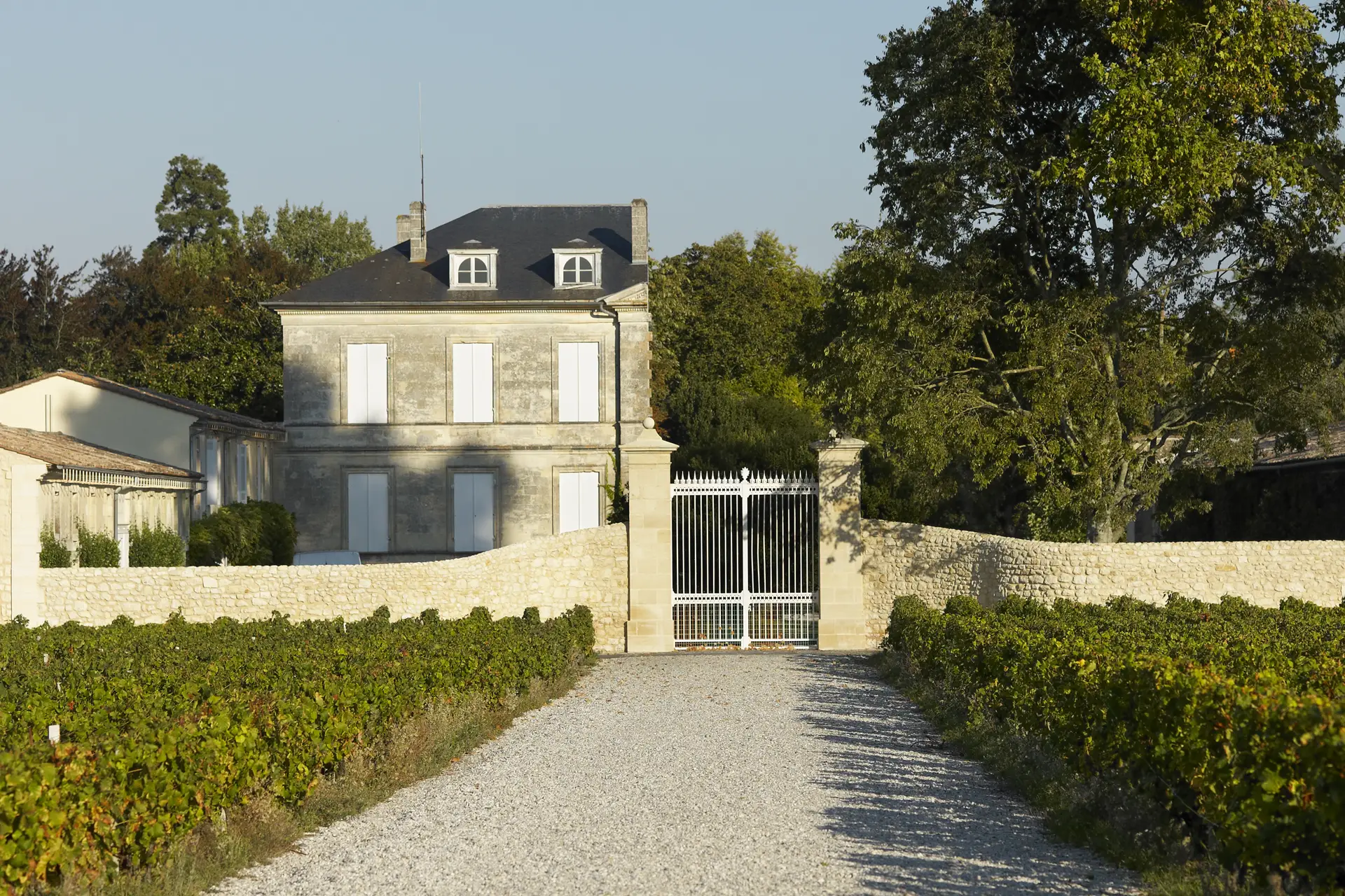 Château Mouton Rothschild - Weingut 1
