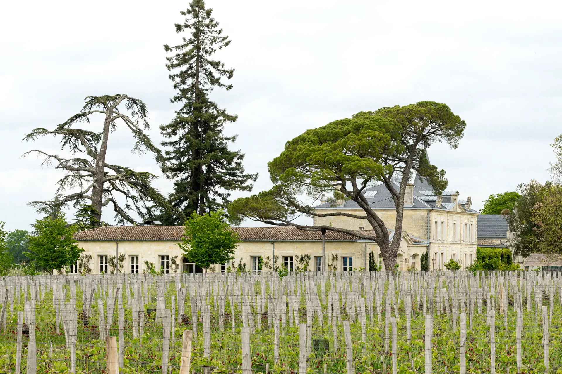 Château Cheval Blanc - Weingut 2023 - En Primeur 1