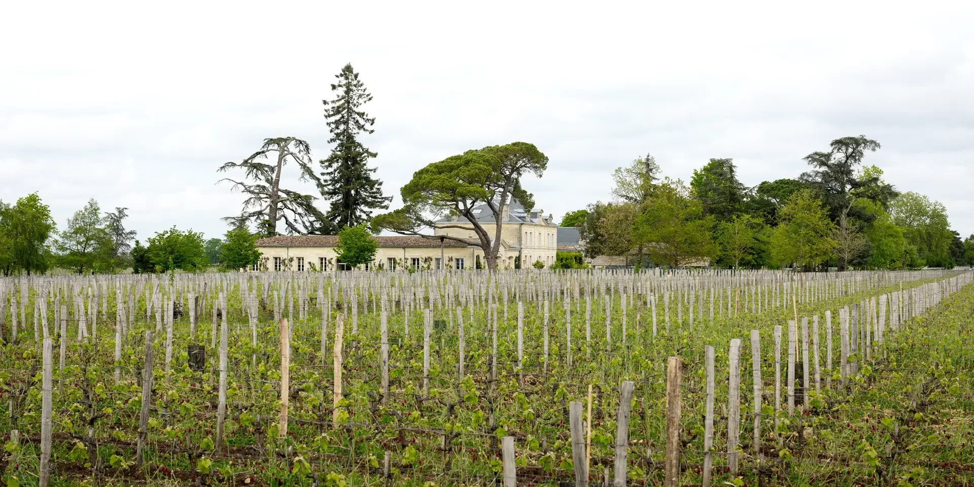 Château Cheval Blanc - Weingut 2023 - En Primeur 2