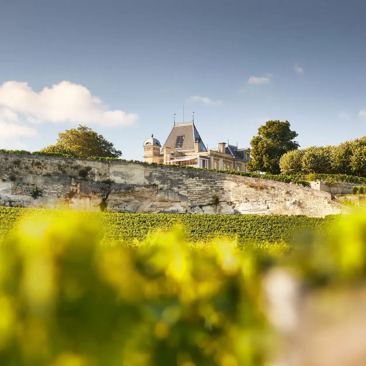 Château Ausone - Weingut 1