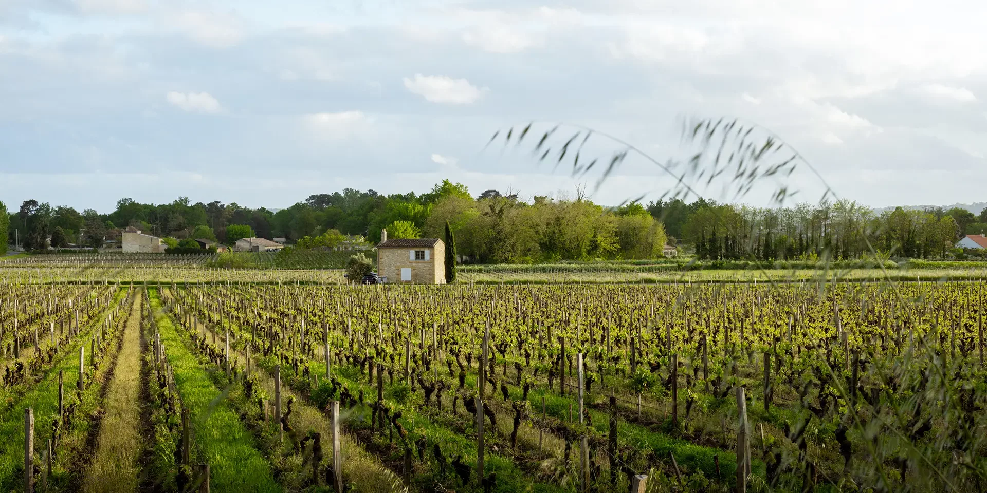 Bordeaux 2023 - En Primeur - Impressionen 7