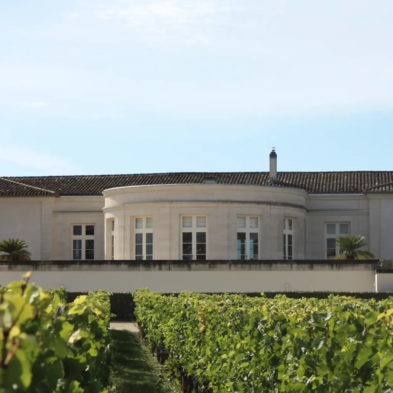 Château Beau-Séjour Bécot - Weingut 2