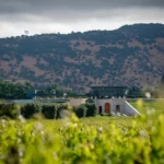 Opus One Winery - Weingut 1