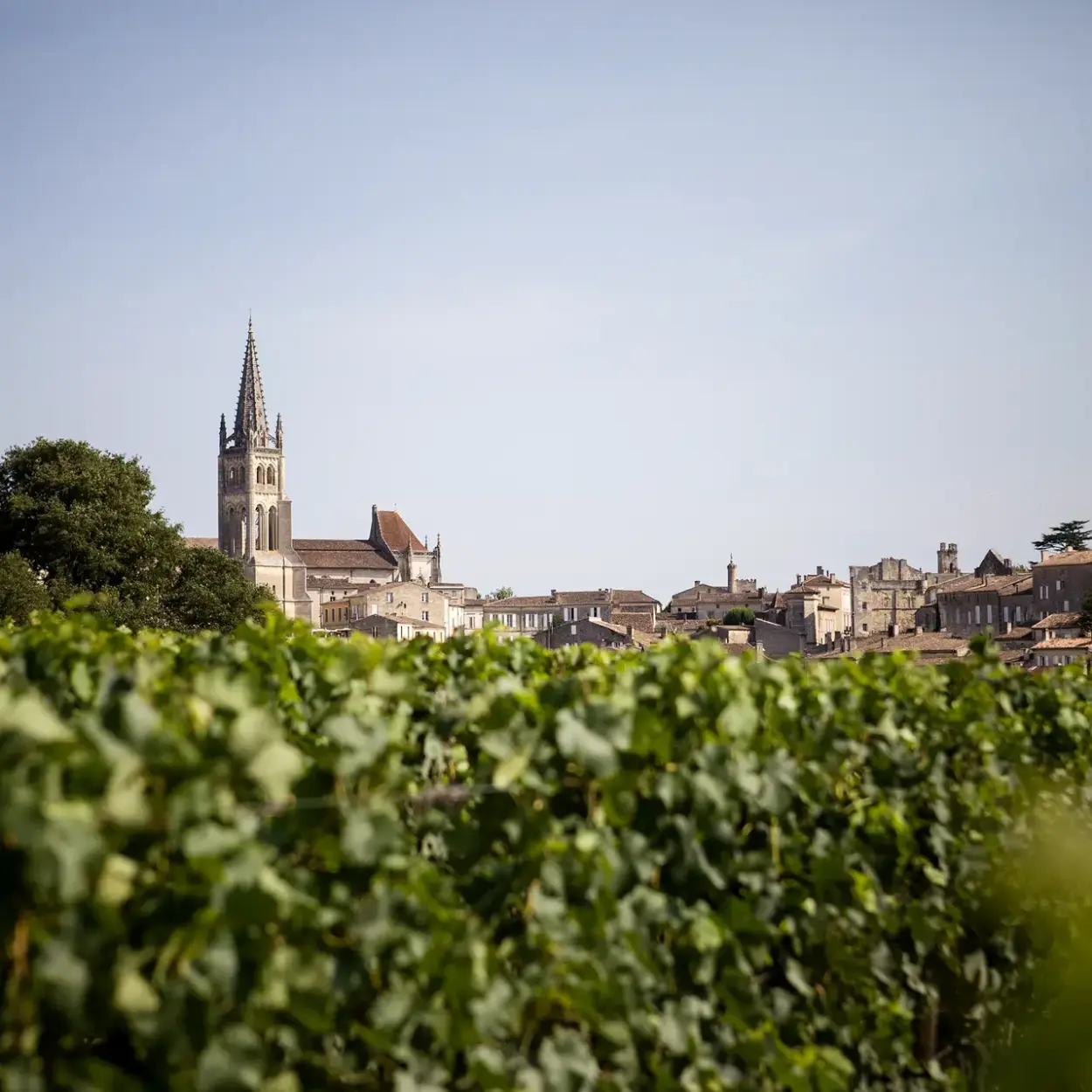Château Ausone - Bordeaux - Weingut 3