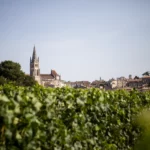 Château Ausone - Bordeaux - Weingut 3
