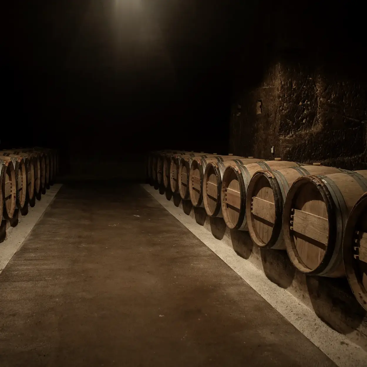Château Ausone - Bordeaux - Weingut 5