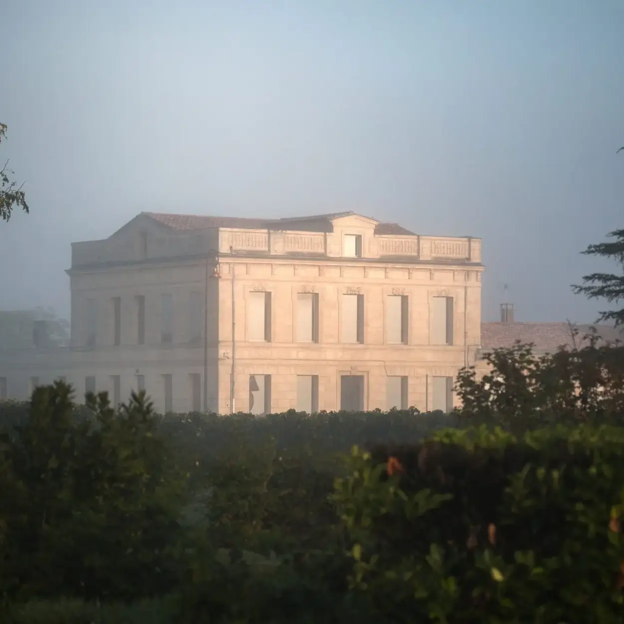 Château Gloria - Bordeaux - Weingut 5