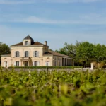 Château Montrose - Bordeaux - Weingut 1