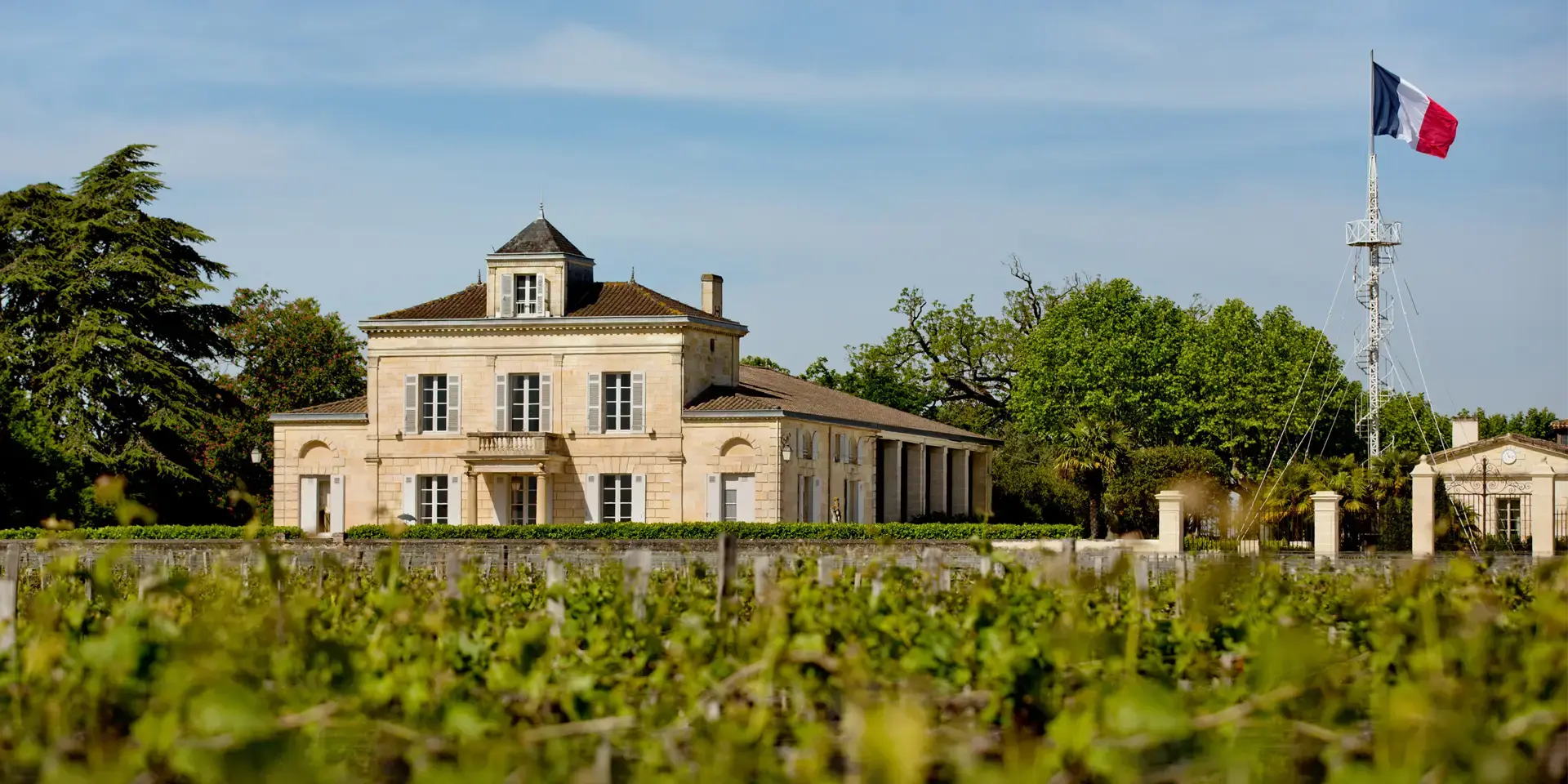 Château Montrose - Bordeaux - Weingut 1
