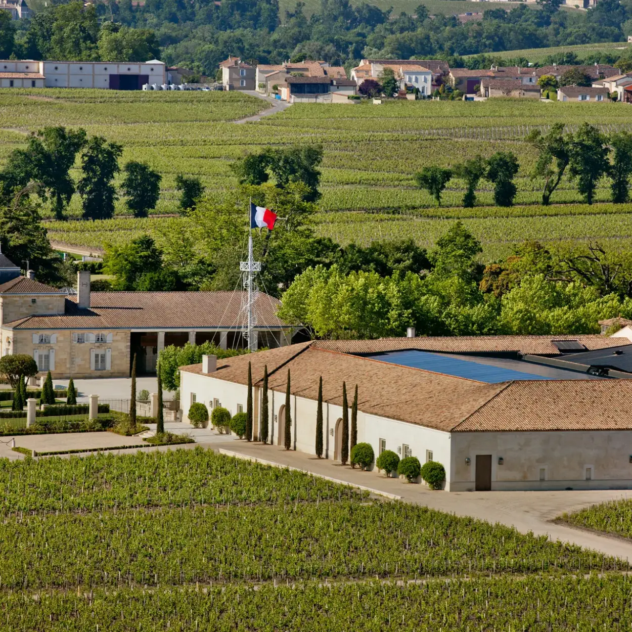 Château Montrose - Bordeaux - Weingut 3