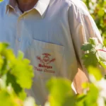 Bodegas Vega Sicilia - Spanien - Weingut 10