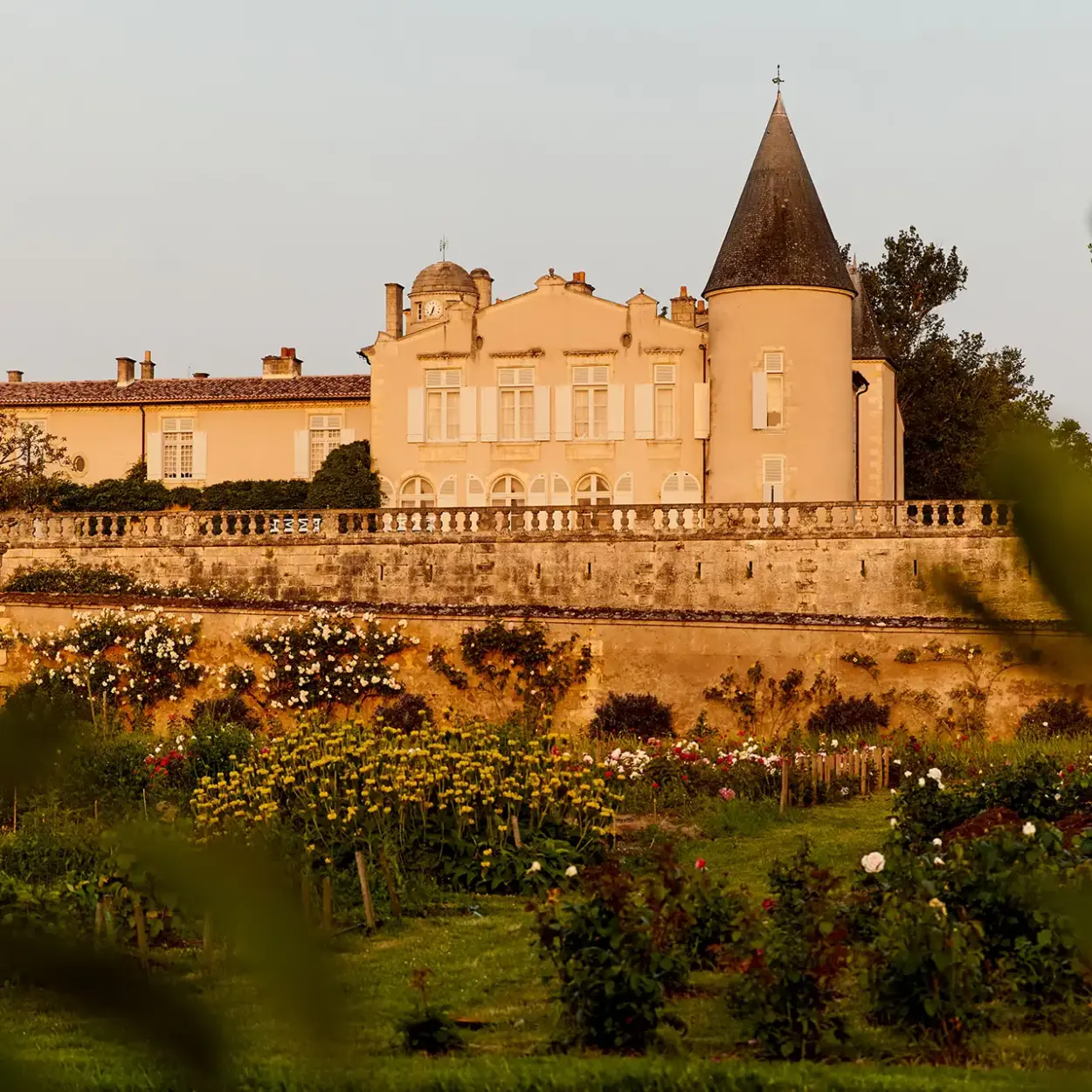 Château Lafite-Rothschild - Bordeaux - Weingut 35