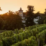 Château Lagrange Saint Julien - Bordeaux - Weingut 1