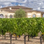 Château Pétrus - Bordeaux - Weingut 11