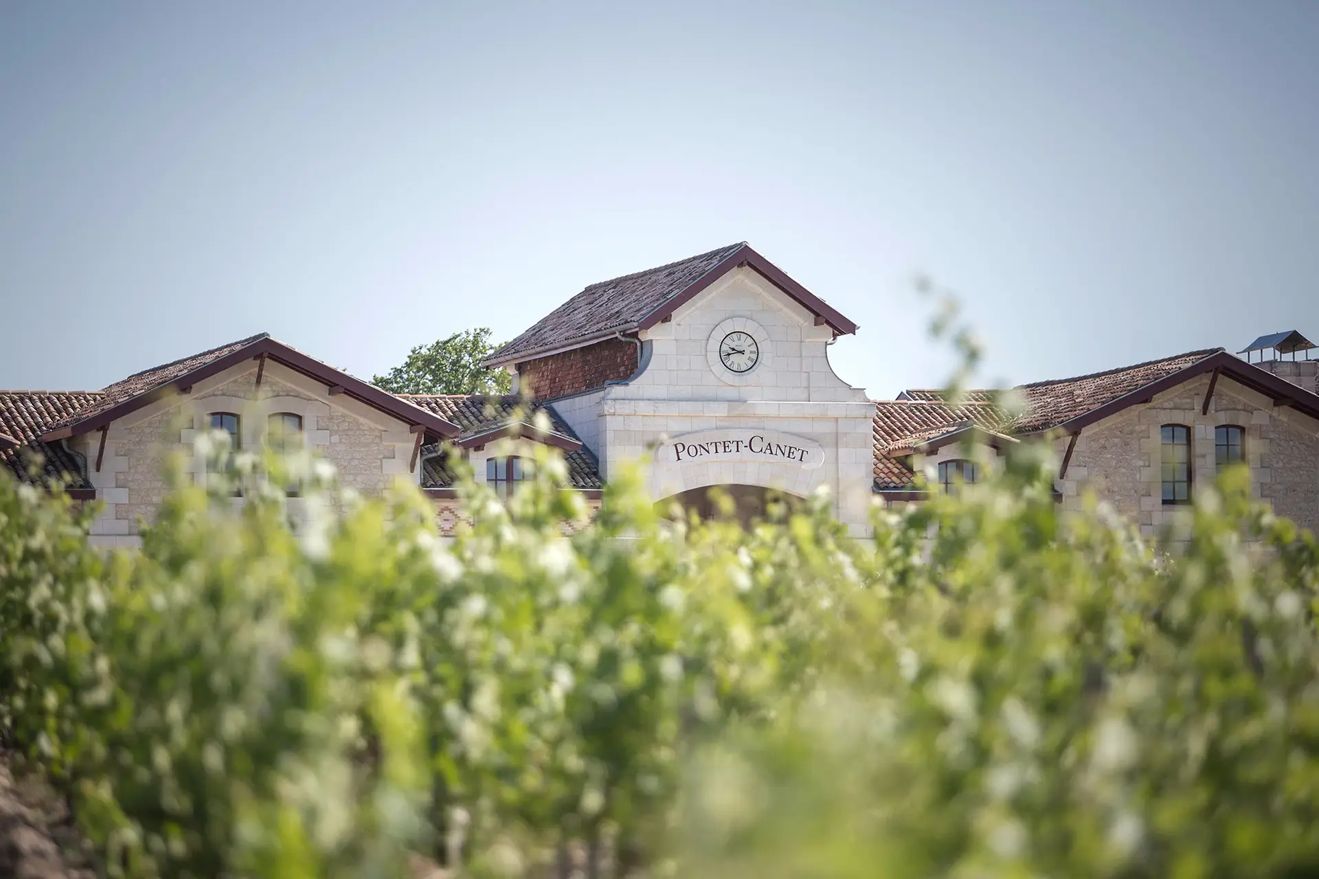 Château Pontet-Canet - Bordeaux - Weingut 2