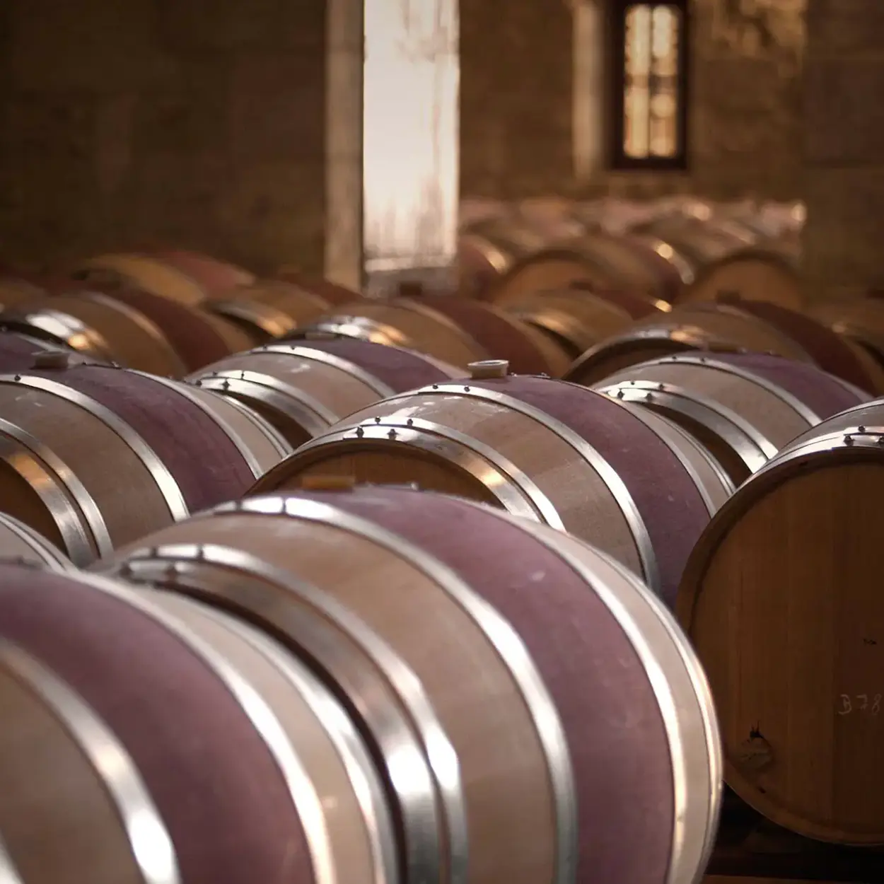 Château Pontet-Canet - Bordeaux - Weingut 4