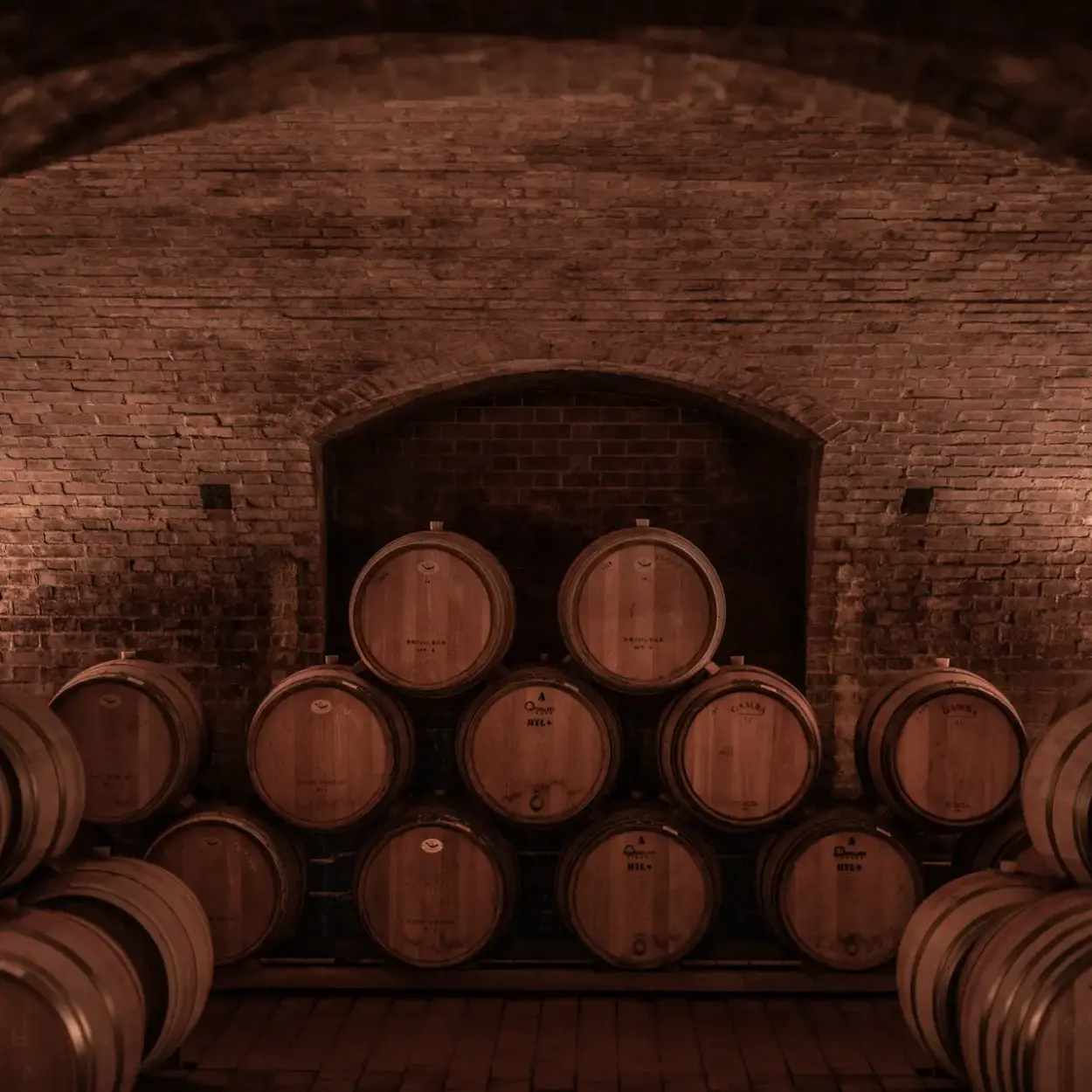 Prunotto - Alba - Weingut 1