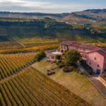 Prunotto - Alba - Weingut 3