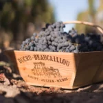 Château Ducru-Beaucaillou - Bordeaux - Weingut 6