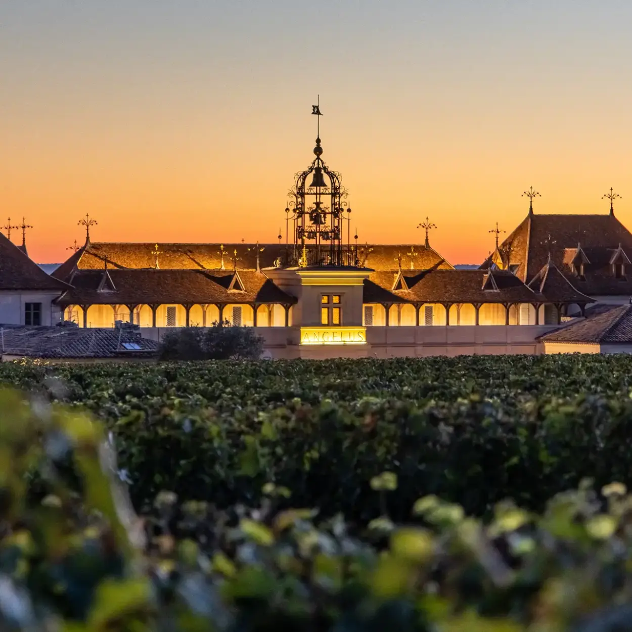 Château Angélus - Bordeaux - Weingut 5