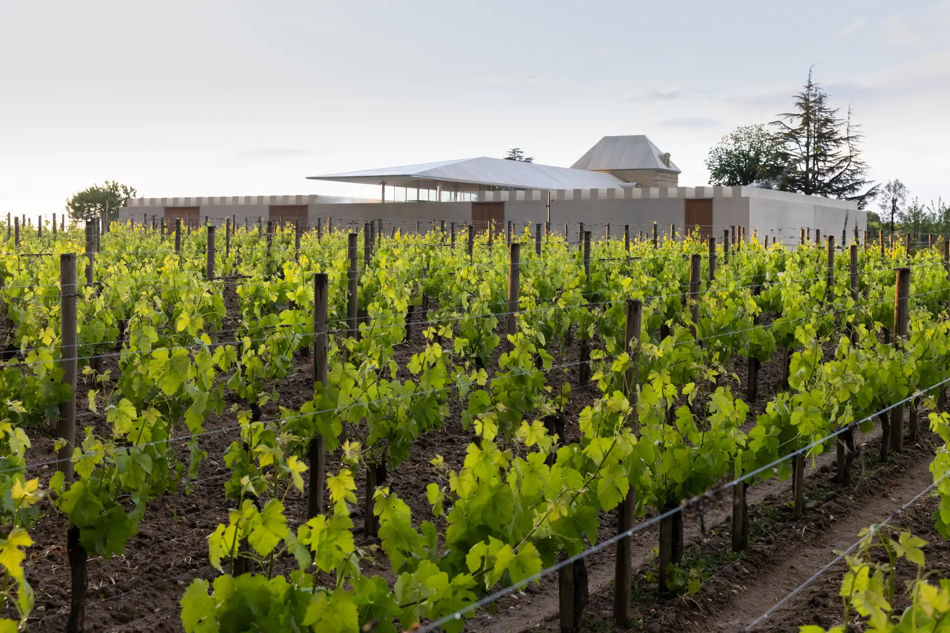 Château Bélair-Monange - Bordeaux - Weingut 5