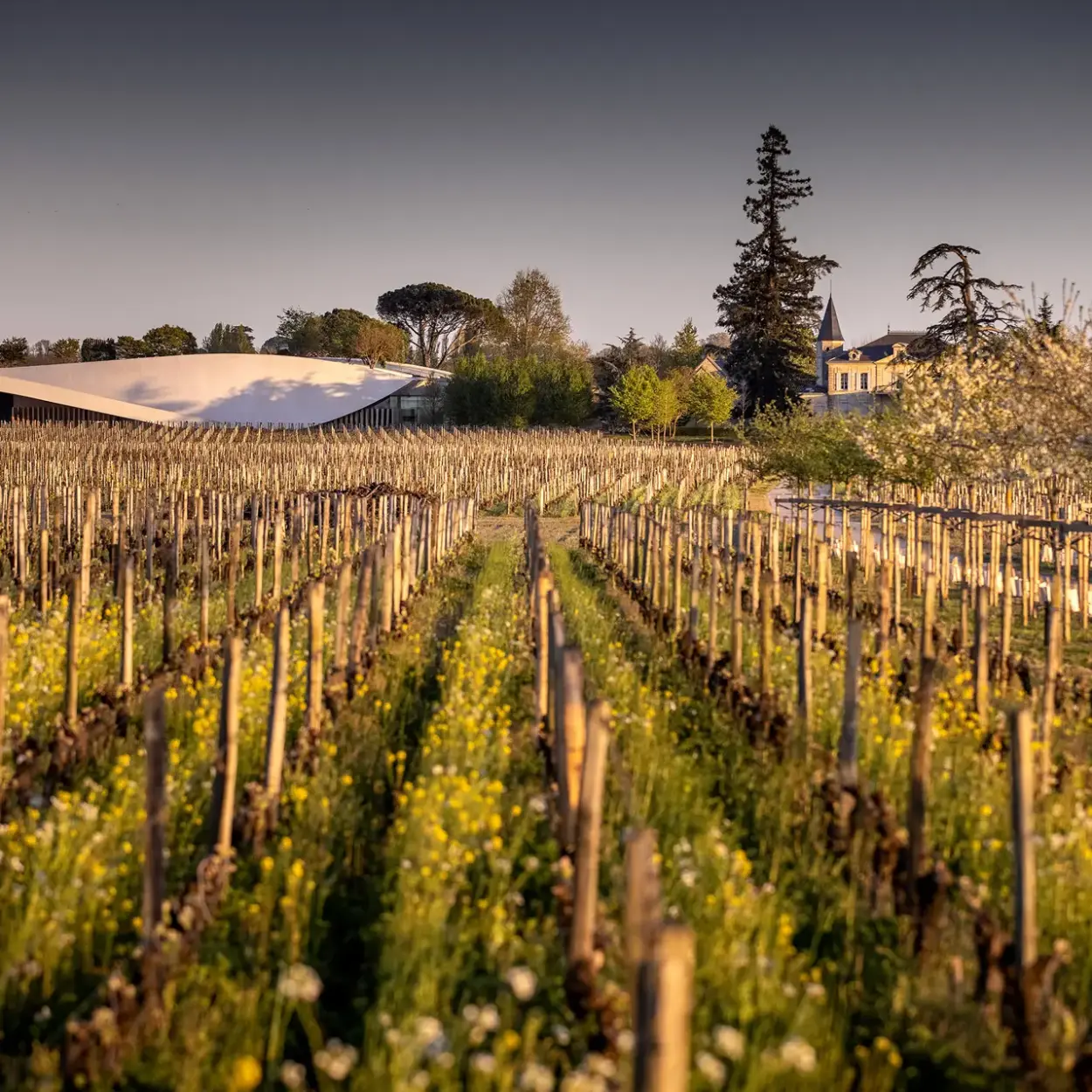 Château Cheval Blanc - Bordeaux - Weingut 21