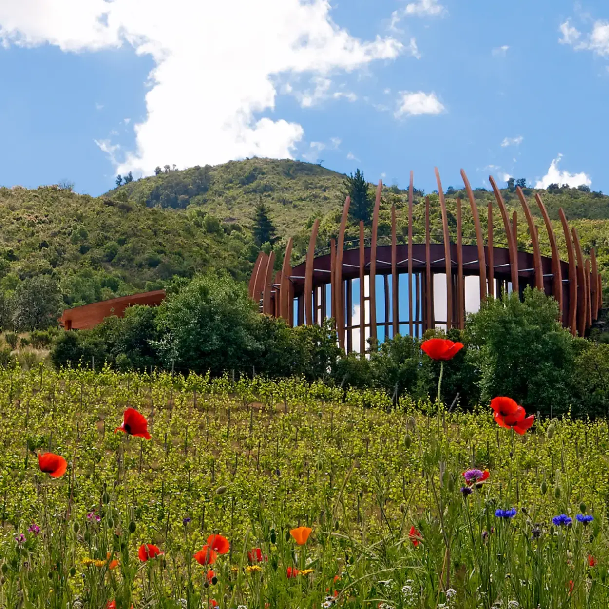 Casa Lapostelle - Clos Apalta - Chile - Weingut 6