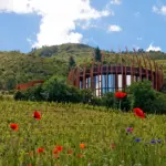 Casa Lapostelle - Clos Apalta - Chile - Weingut 6