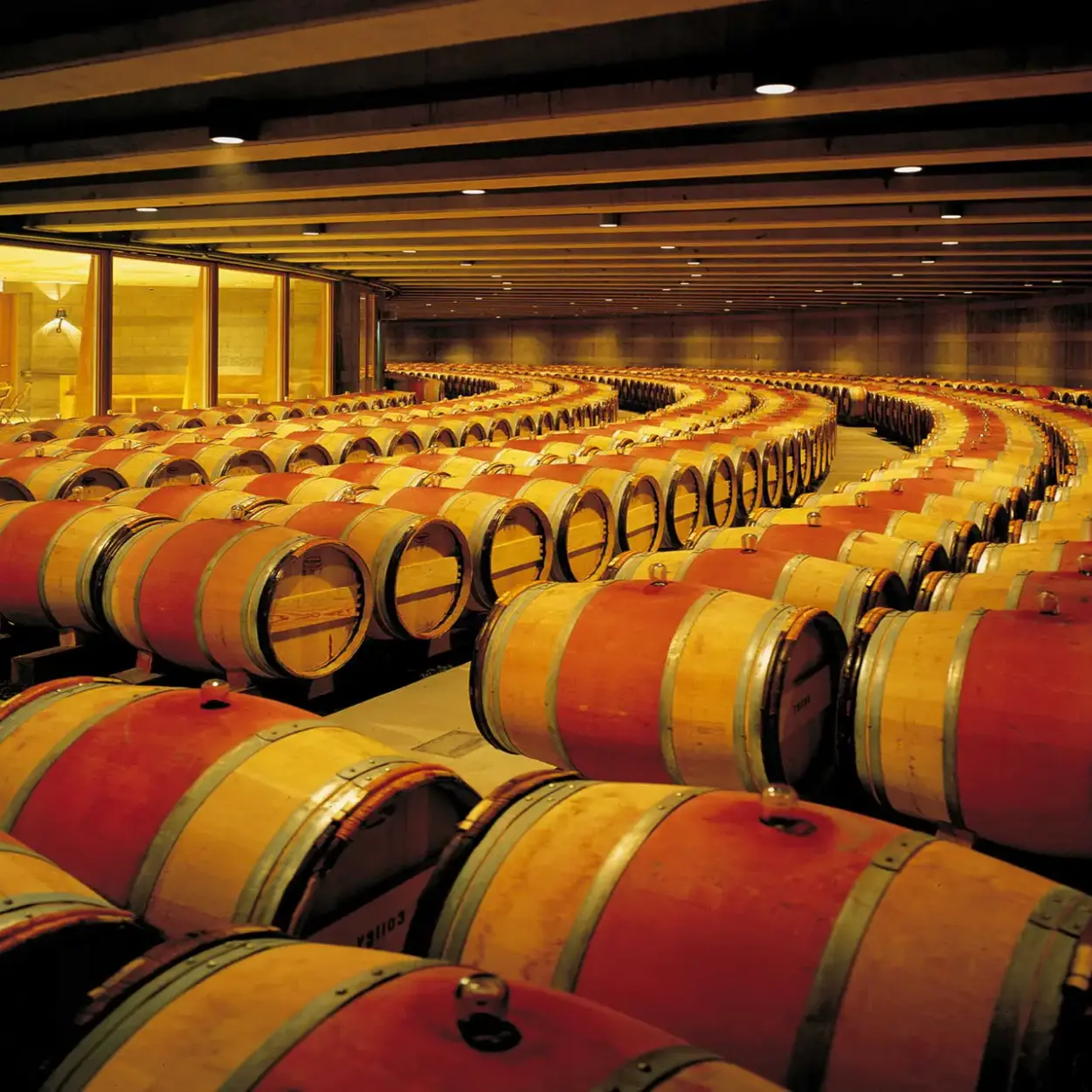 Opus One Winery -Napa Valley - Weingut 3