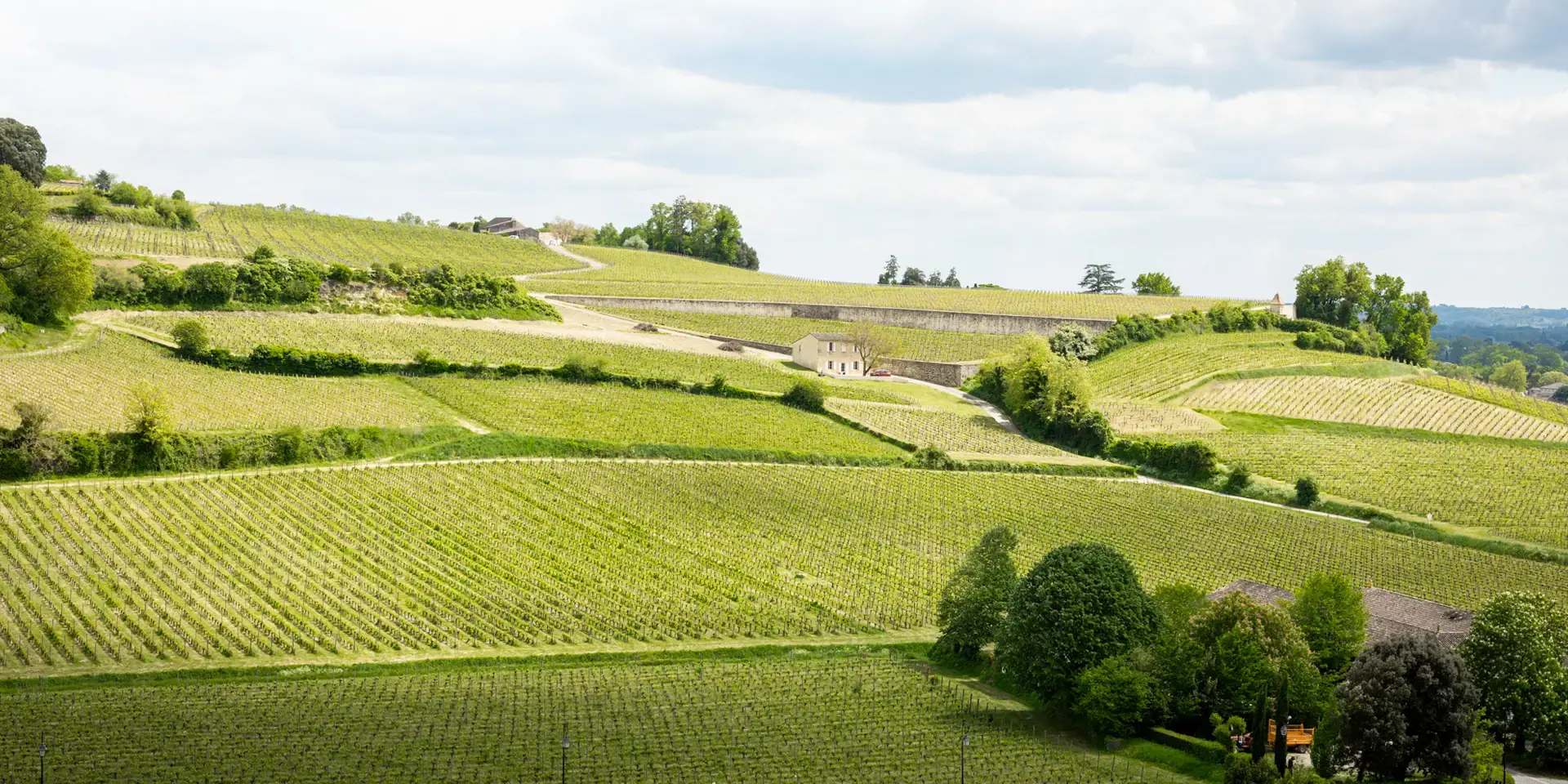 Seltene Weine - Bordeaux - En Primeurs 2023 - Weinberge 2