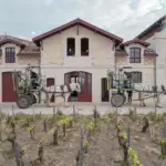 Château Pontet-Canet - Bordeaux - Weingut 11