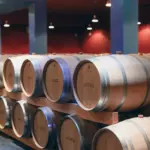 Château Belgrave - Bordeaux - Weingut 1