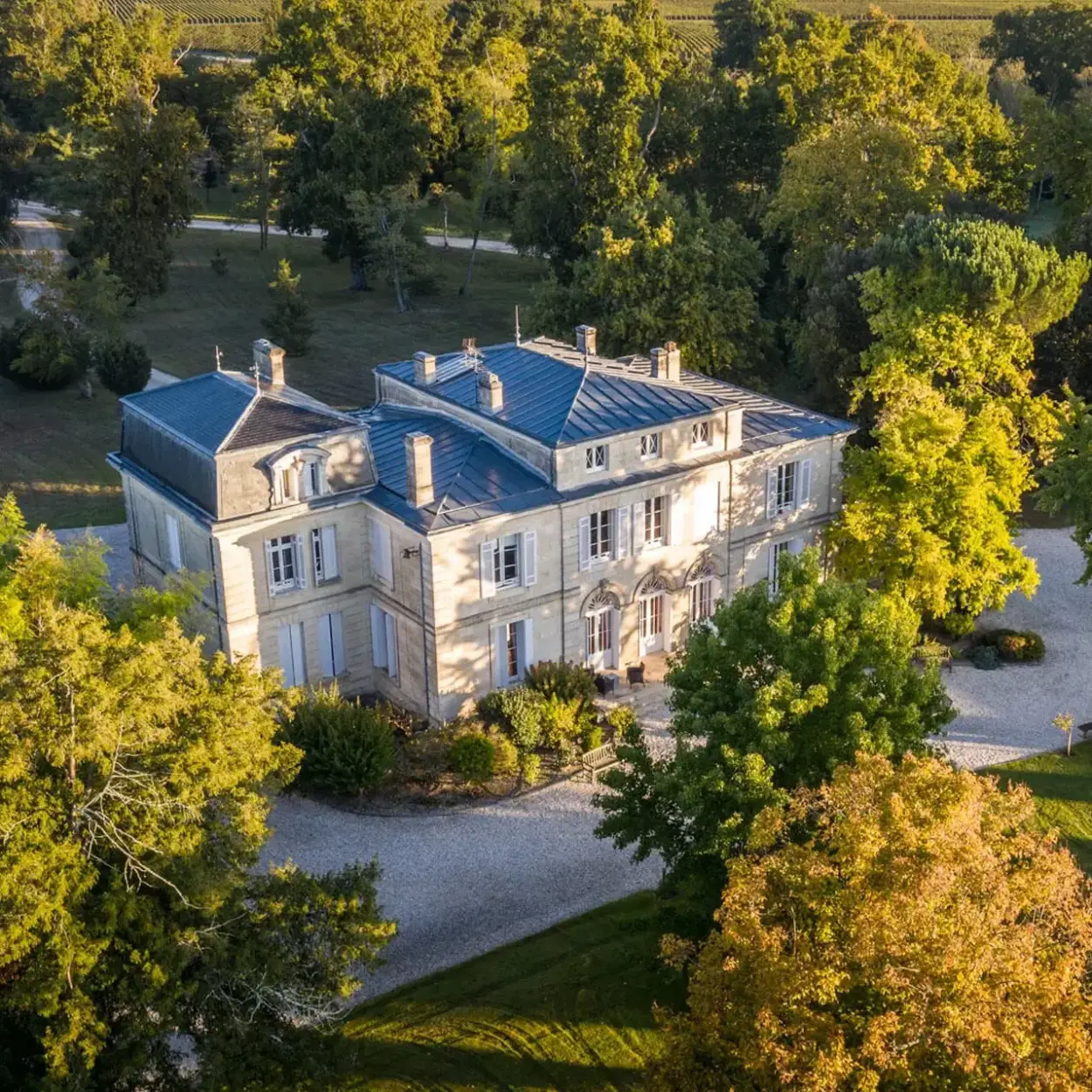 Château Belgrave - Bordeaux - Weingut 5