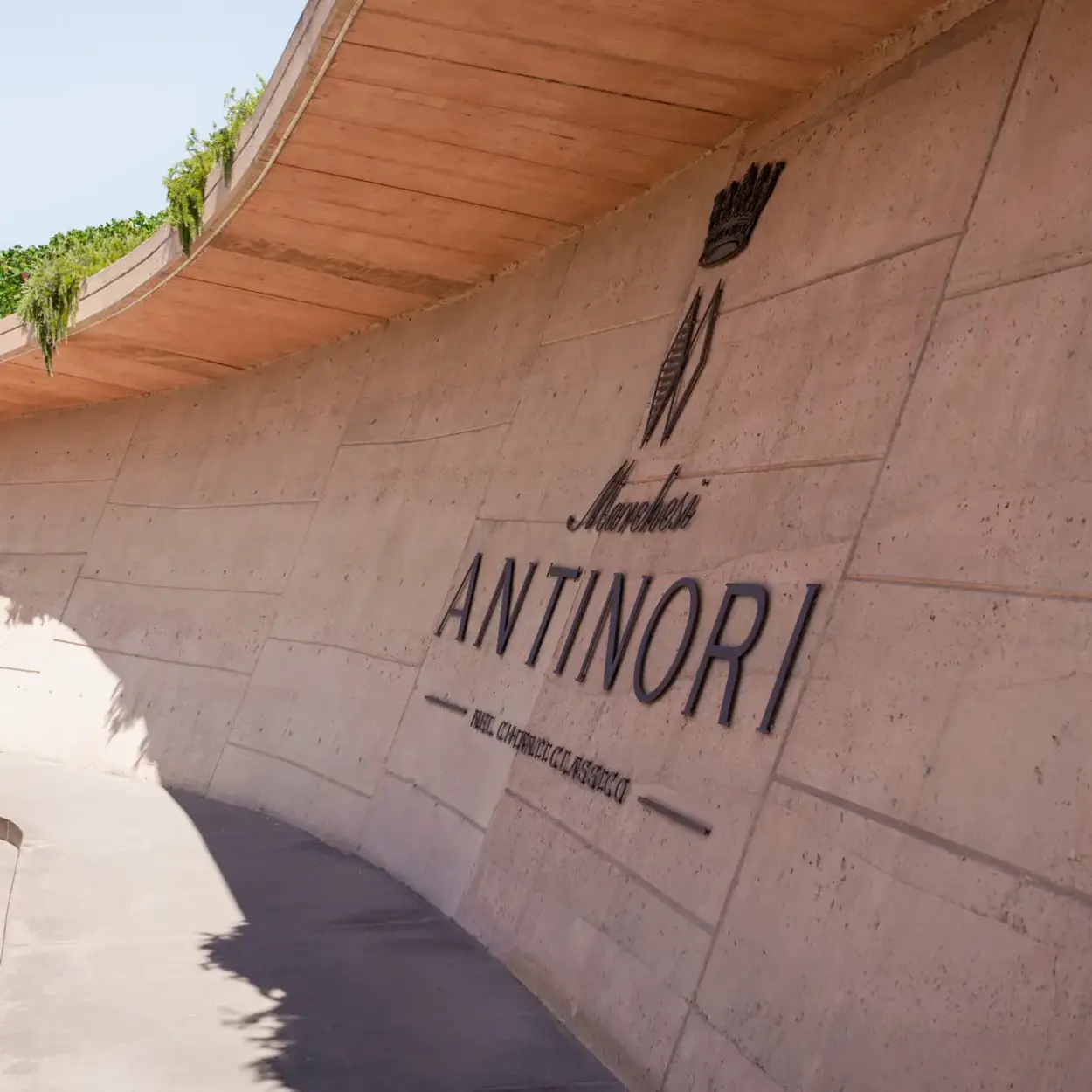 Marchesi Antinori - Antinori nel Chianti Classico - Tignanello 2021 - Besuch 3