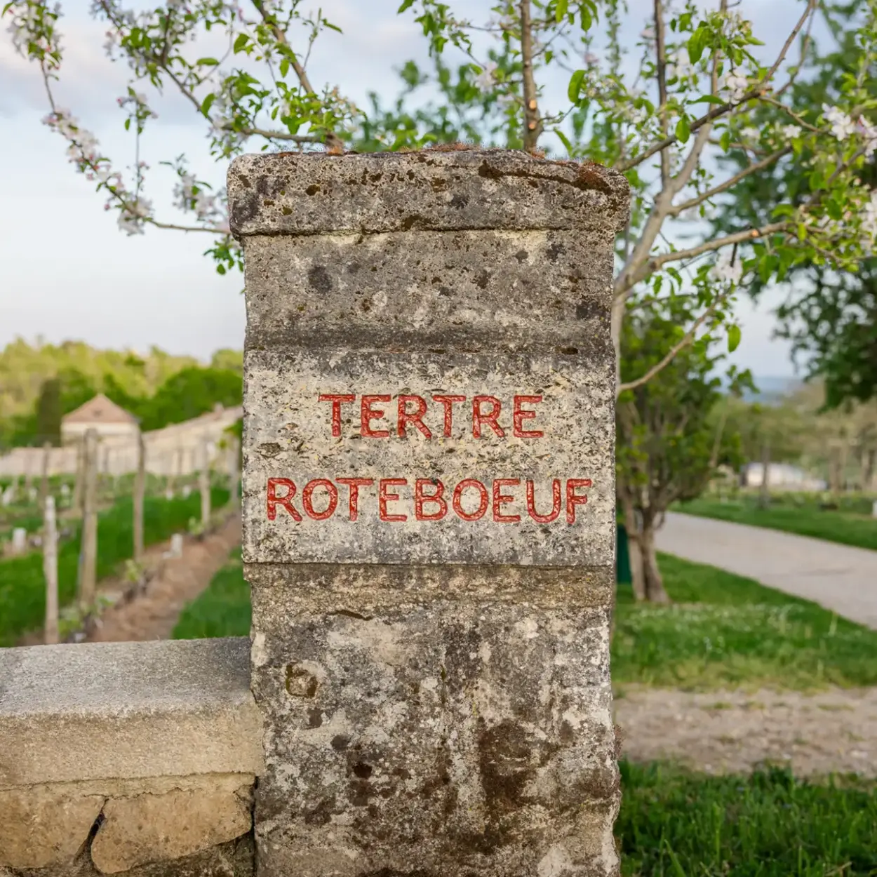 Seltene Weine - Bordeaux - En Primeur 2024 - Château Tertre Roteboeuf 1
