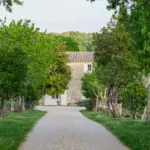 Seltene Weine - Bordeaux - En Primeur 2024 - Château Tertre Roteboeuf 2