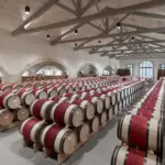 Château Calon Ségur - Bordeaux - Weingut 4
