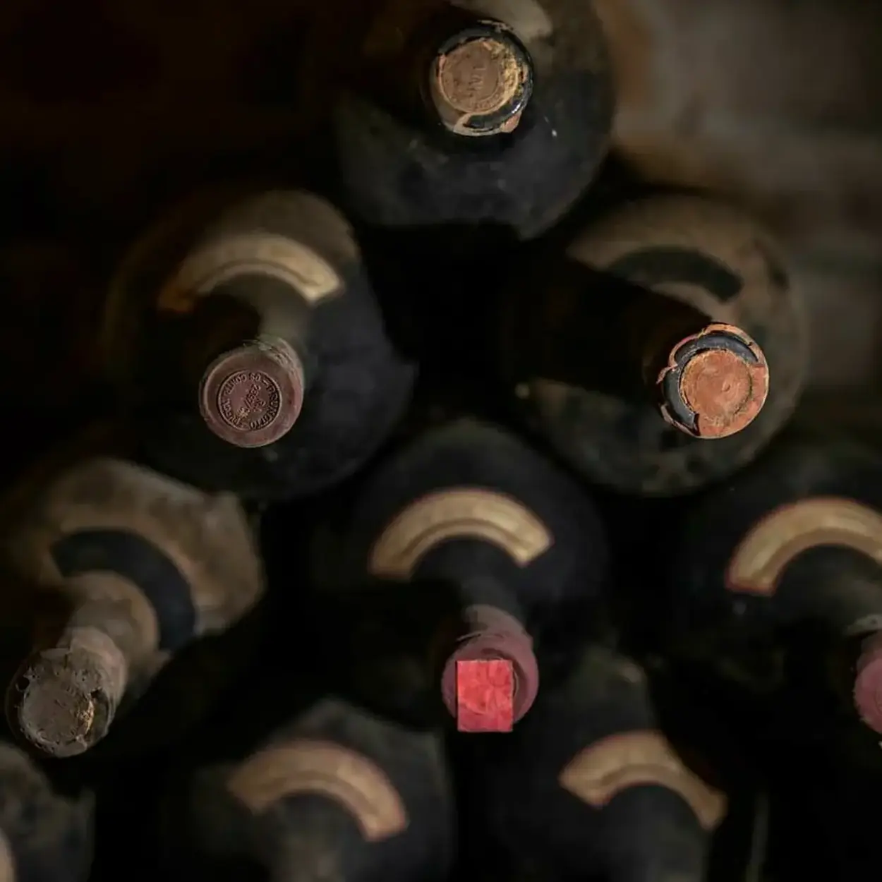 Prunotto - Piemont - Weingut 1