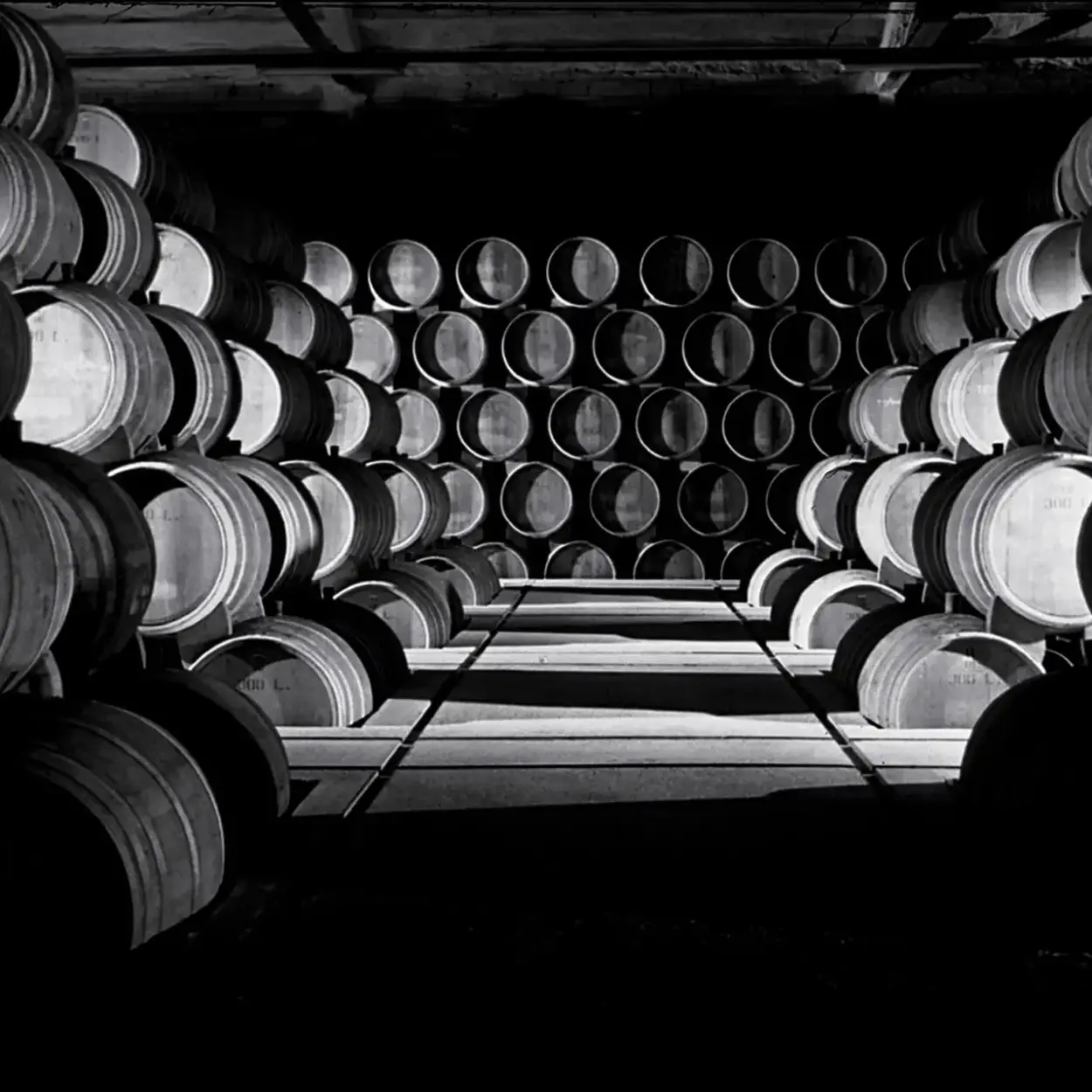 Bodegas Familia Torres - Katalonien - Weingut 2