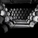 Bodegas Familia Torres - Katalonien - Weingut 2