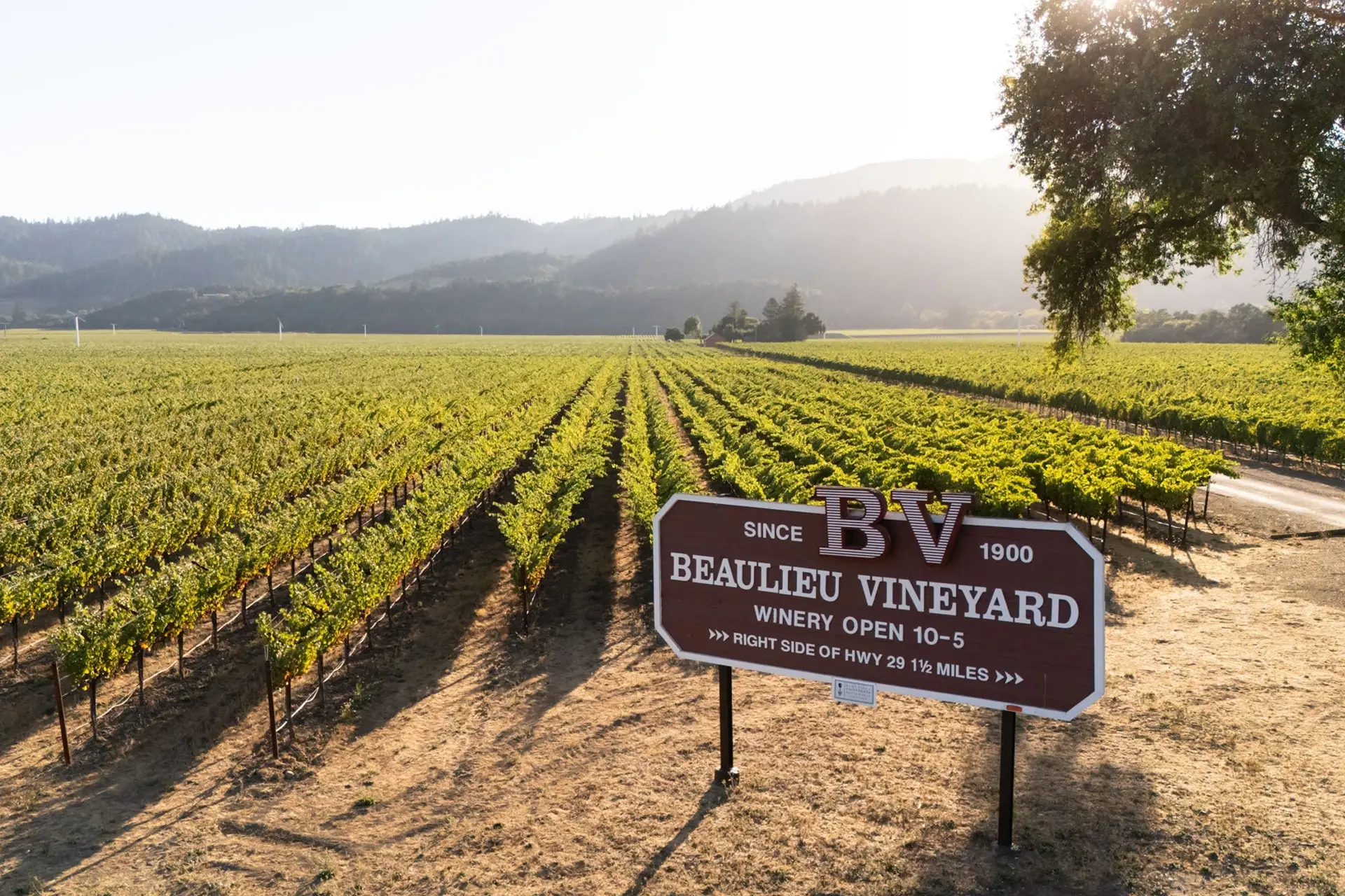 Beaulieu Vineyard - Weingut, Rebsorten und Weine
