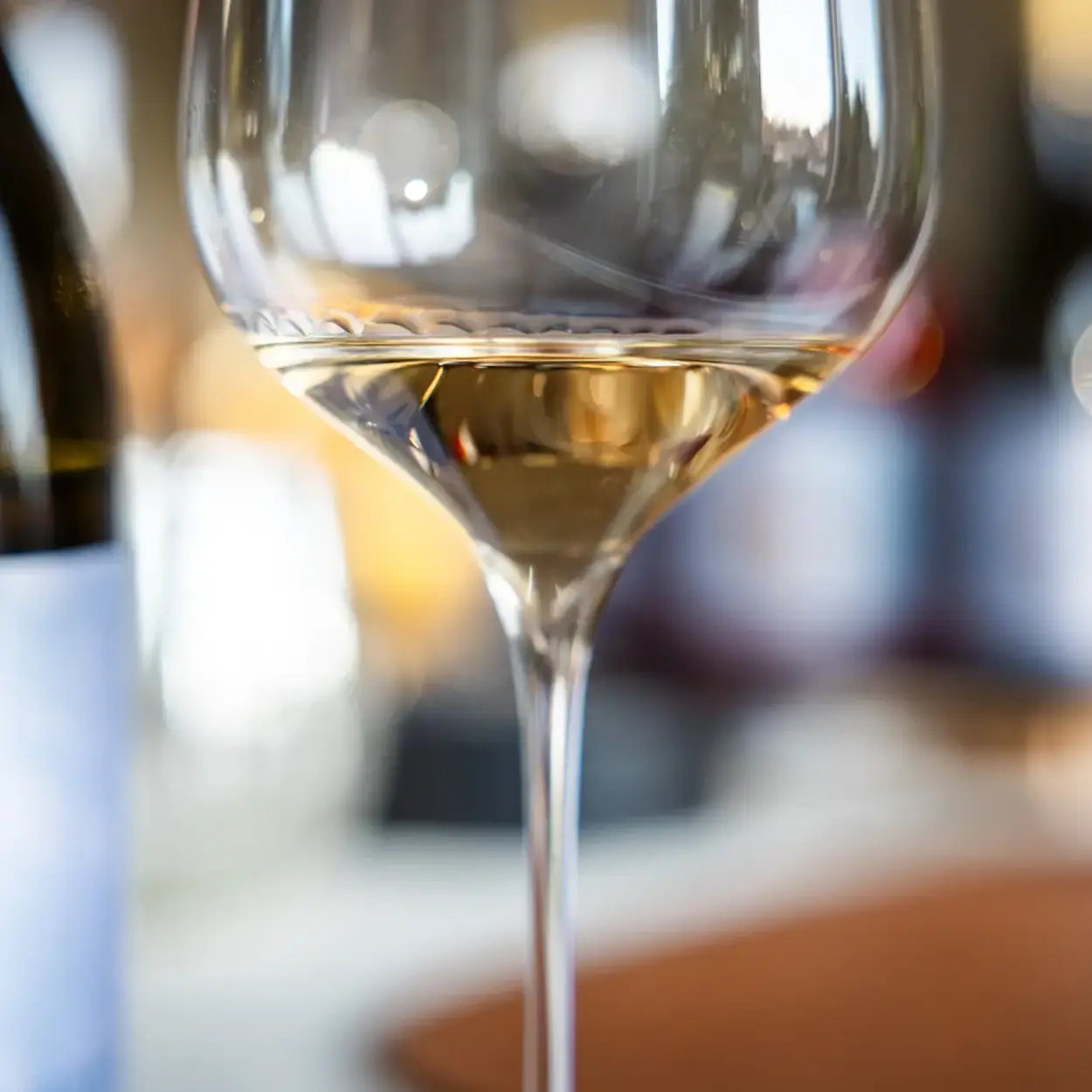 Seltene Weine - Bettina Schumann Dit is der Clou von‘t Janze 2021 - Verkostung 1