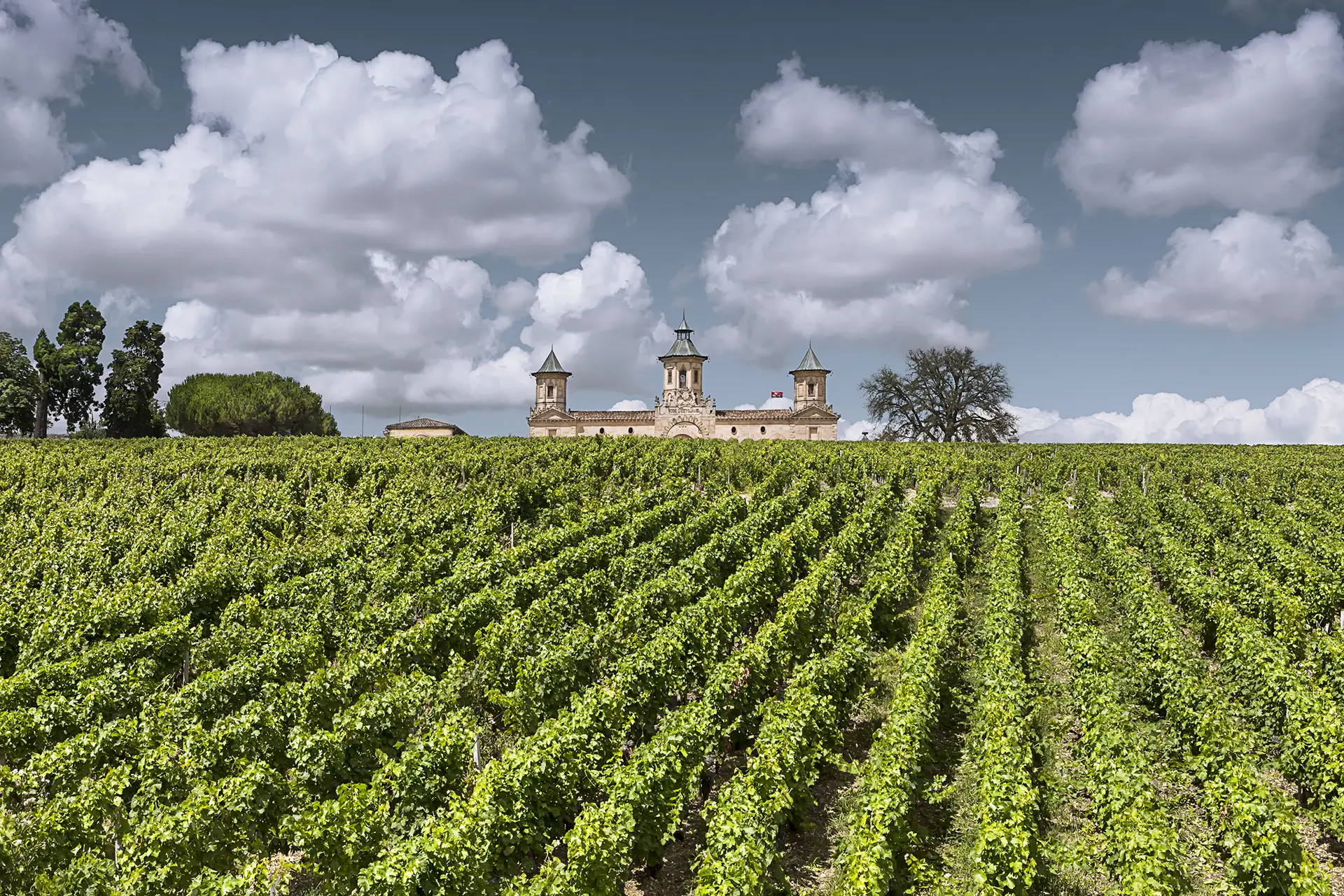 Château Cos d’Estournel - Bordeaux - Weingut 3