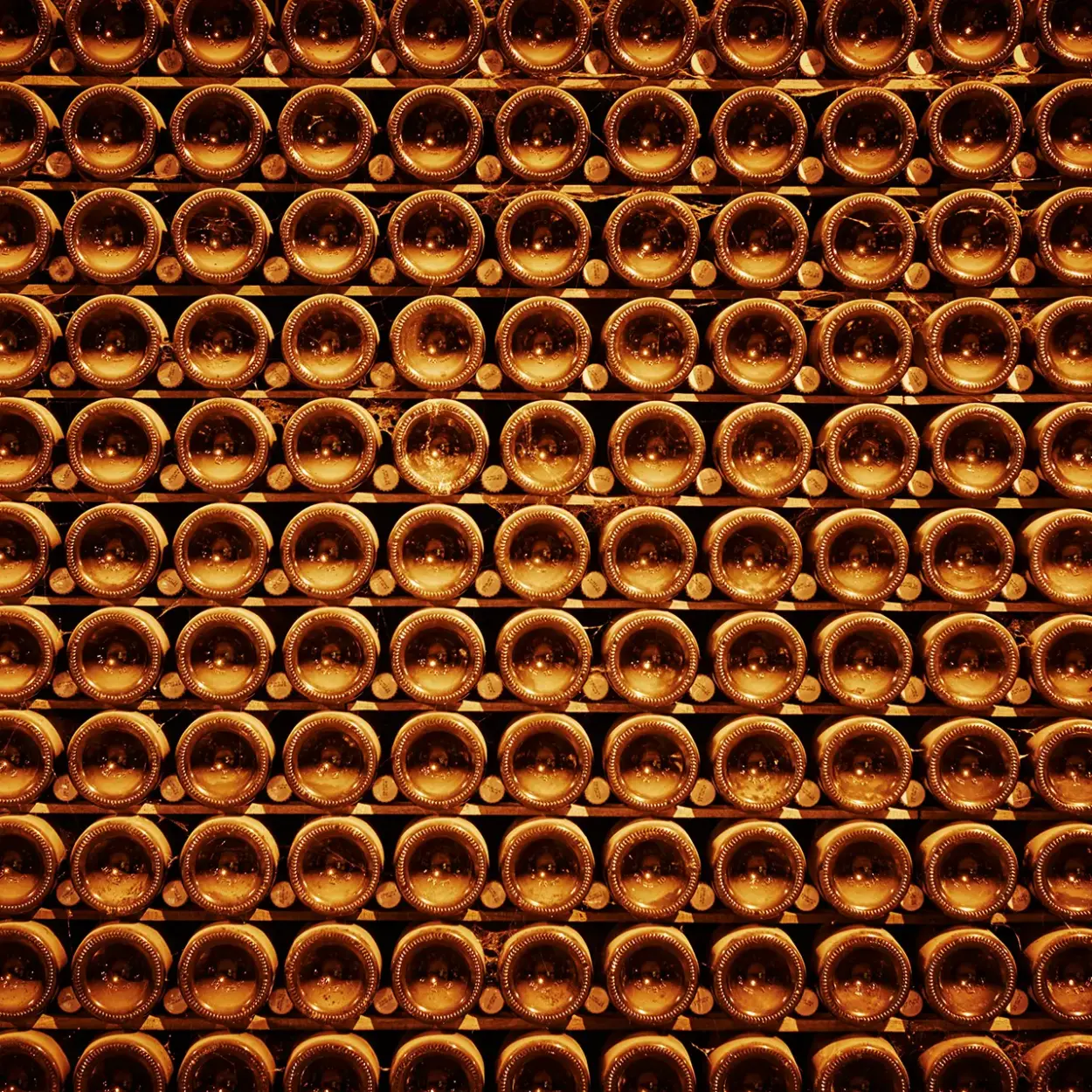 Champagne Krug - Reims - Weingut 4