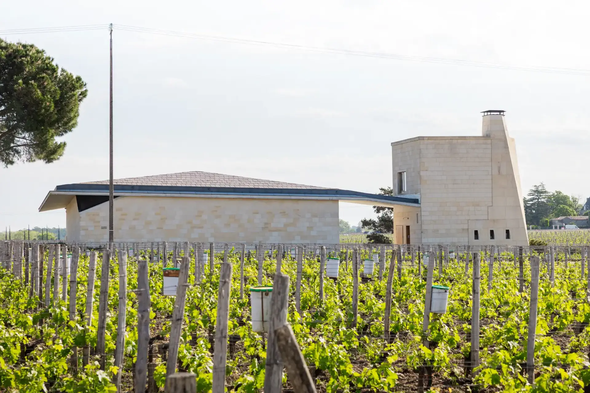 Château Le Pin - Pomerol - Weingut 1