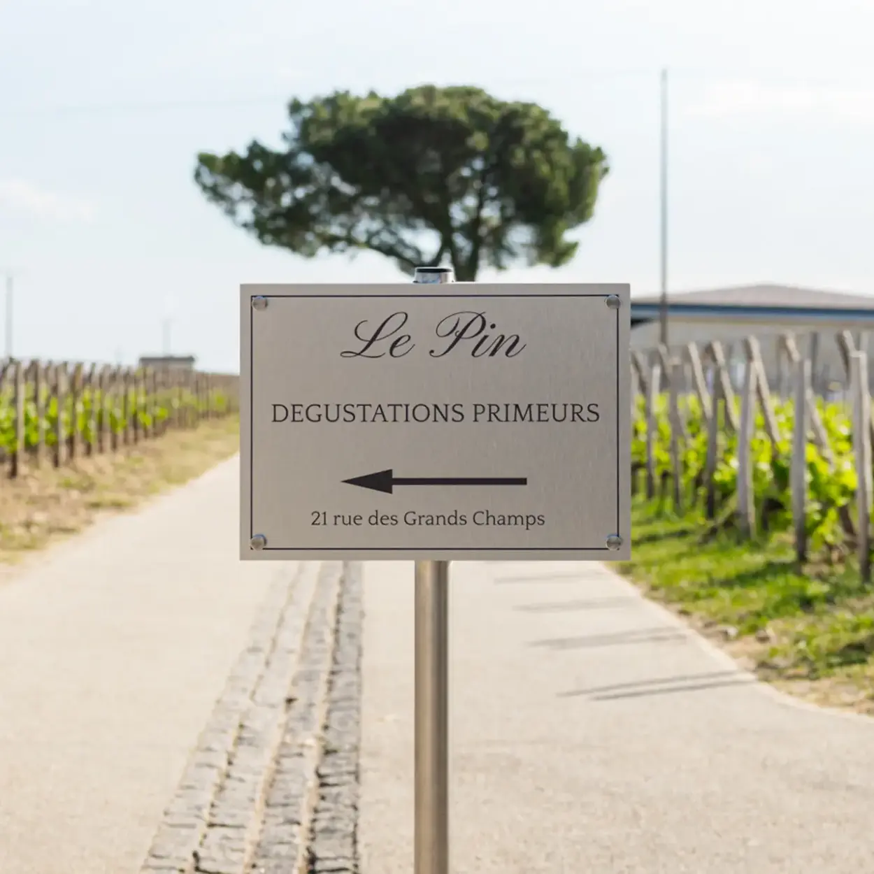 Château Le Pin - Pomerol - Weingut 2