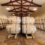 Château Sociando-Mallet - Bordeaux - Weingut 1