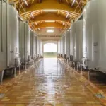 Château Sociando-Mallet - Bordeaux - Weingut 3